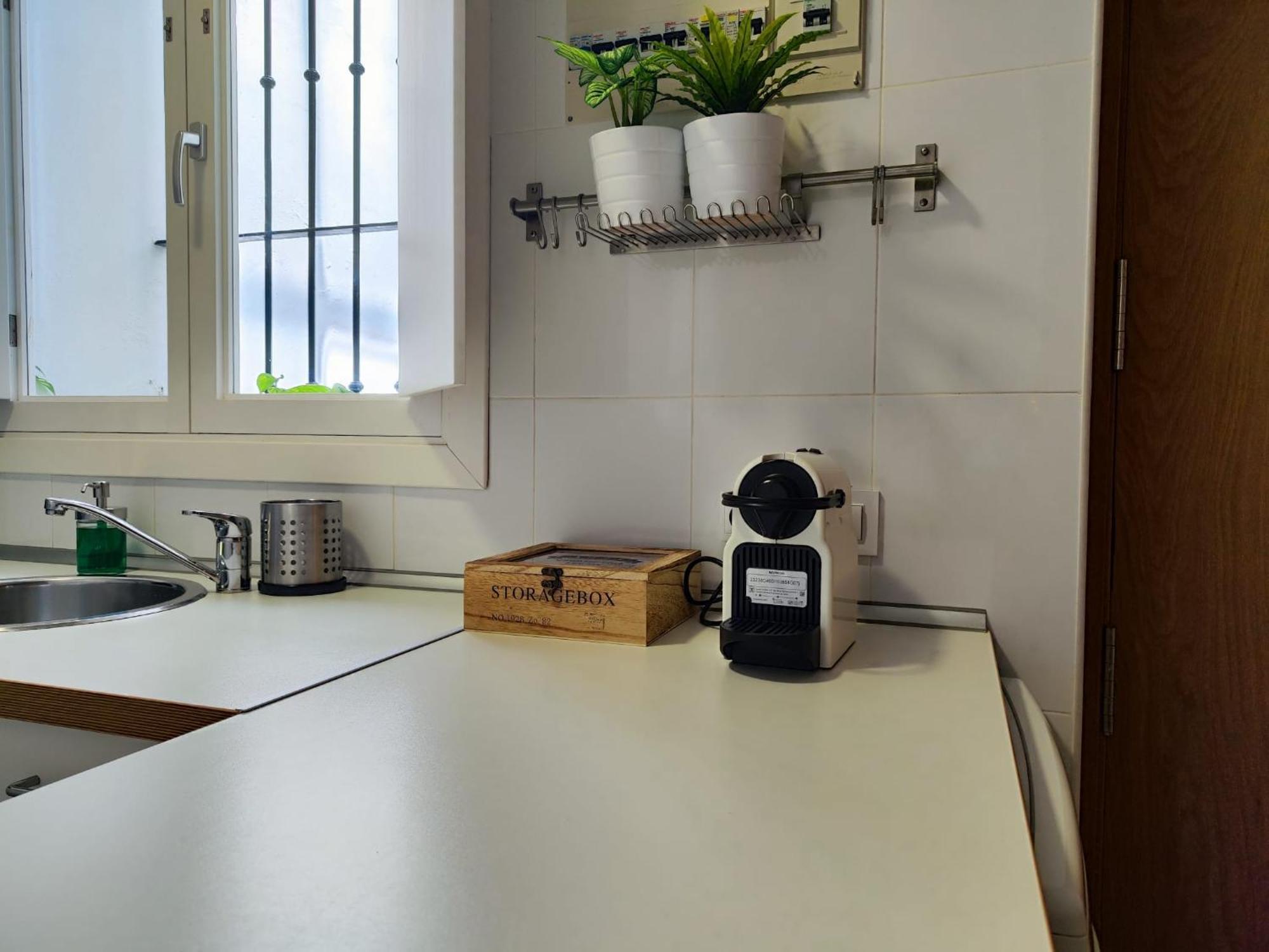 Suite Del Mercado Little Apartments Cadiz Exterior photo